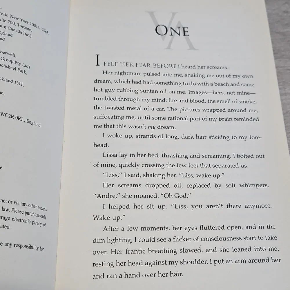 Vampire Academy Book by Richelle Mead - Picture 6 of 7